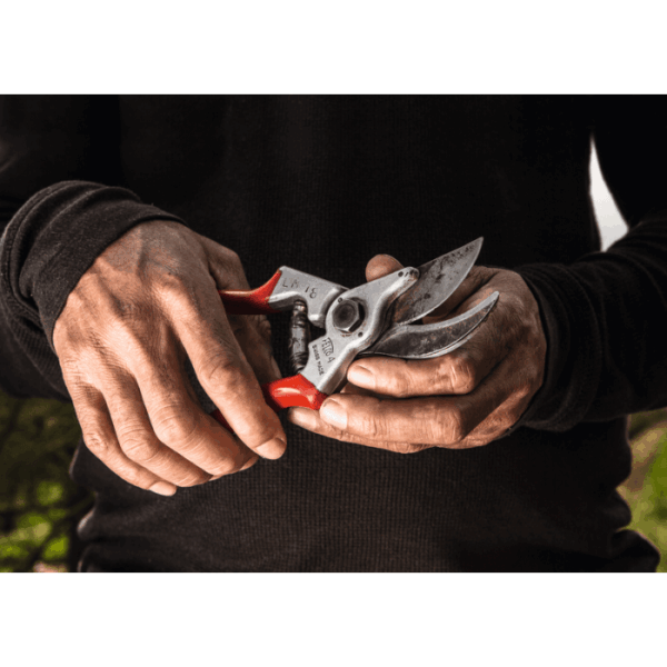 Felco Model 4 Garden Secateurs2