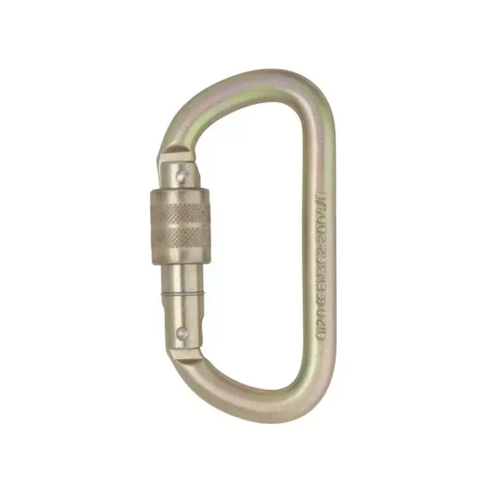 DMM Equal D Steel Screwgate Karabiner 1 DMM Equal D Steel Screwgate Karabiner