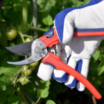 Spear & Jackson Razorsharp Advance Geared Bypass Secateurs