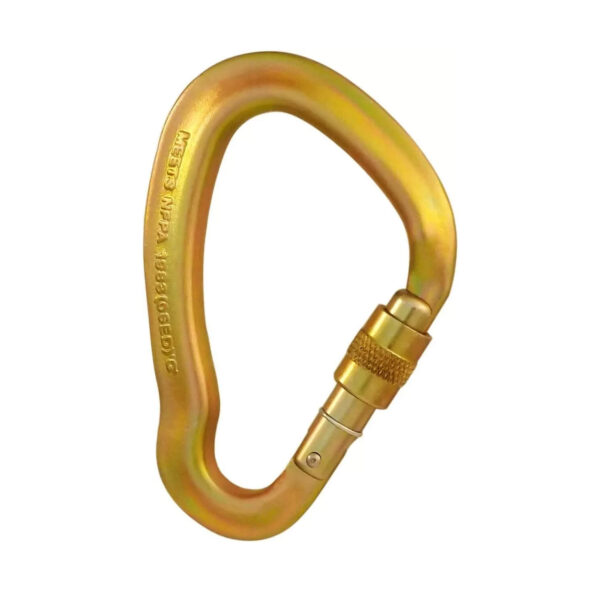ISC Big Dan Screwgate Karabiner