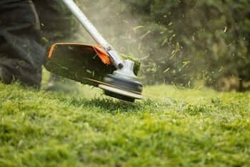 strimmer