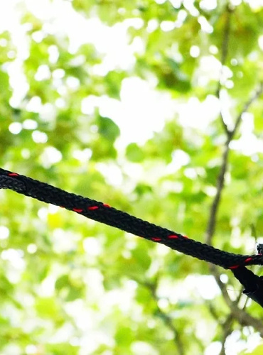 cobra-bracing