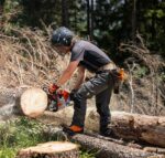 Zamberlan Delimber Orange GTX RR BOA Chainsaw Boots