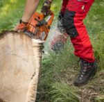 Zamberlan Wald Black GTX RR Chainsaw Boots