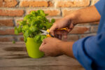 Stiga Pruning Snips